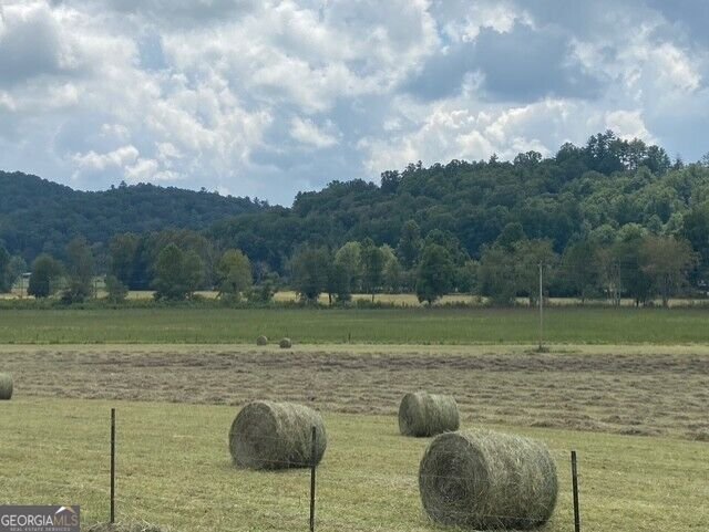 7925 State Hwy 60 Suches - Photo 13