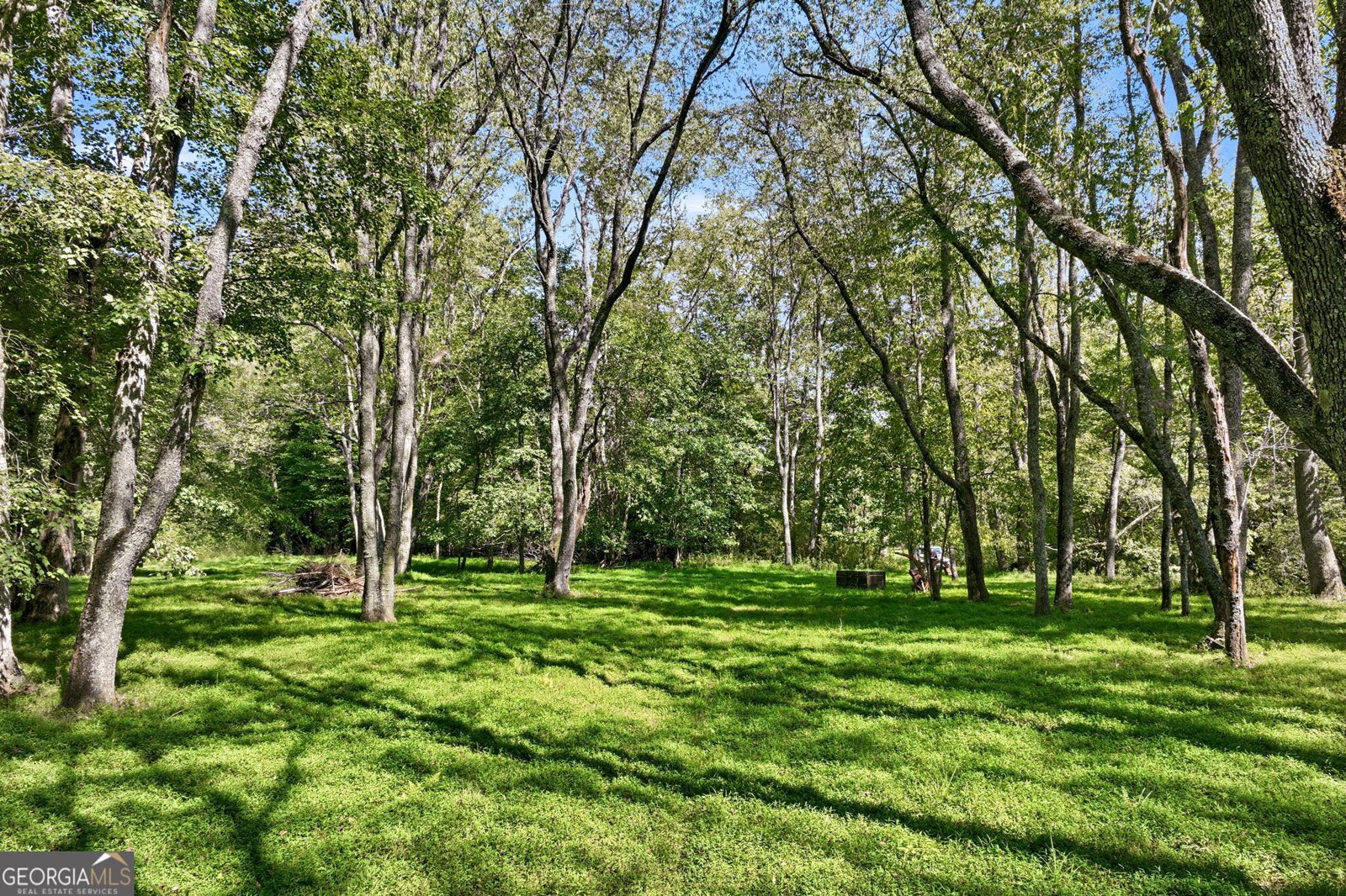 7925 State Hwy 60 Suches - Photo 50