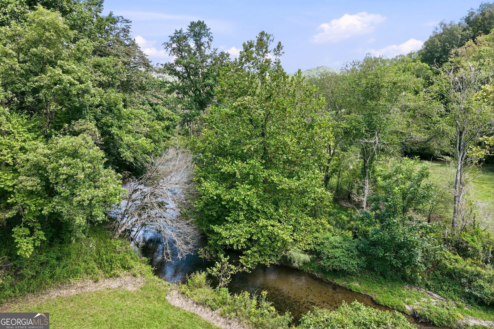 7925 State Hwy 60 Suches - Photo 53