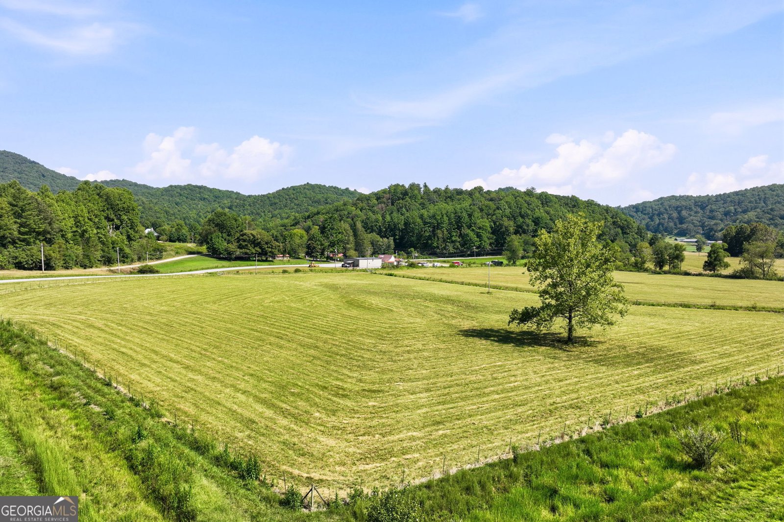 7925 State Hwy 60 Suches - Photo 59