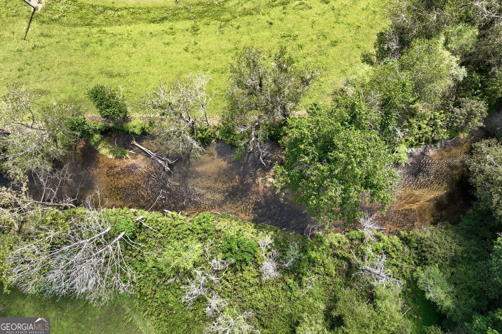 7925 State Hwy 60 Suches - Photo 73