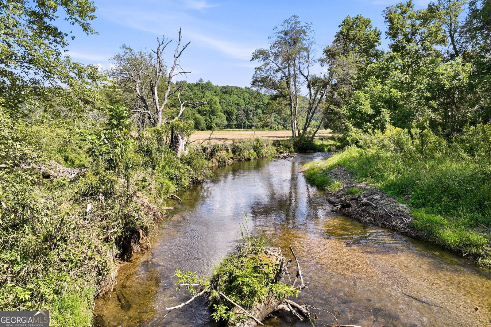 7925 State Hwy 60 Suches - Photo 9