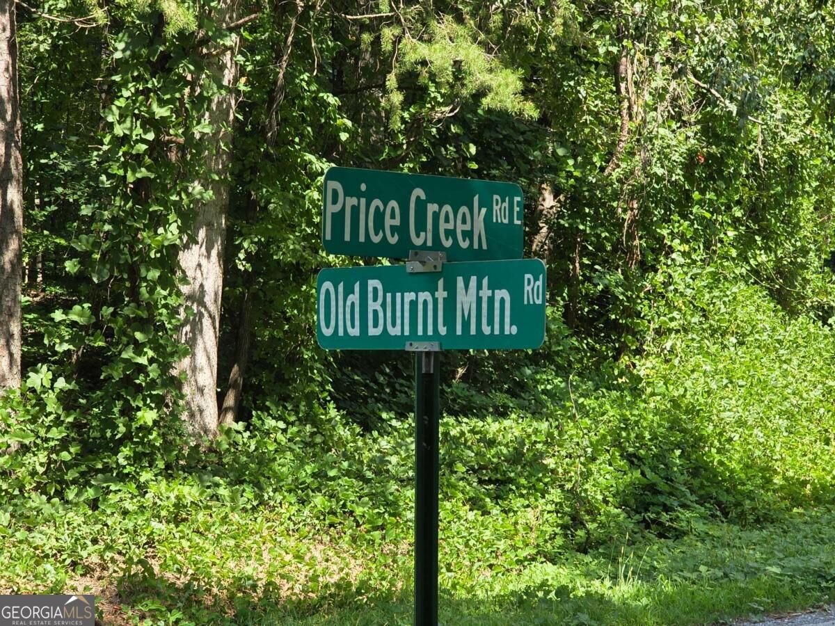 4157 Old Burnt Mountain Road Jasper - Photo 16