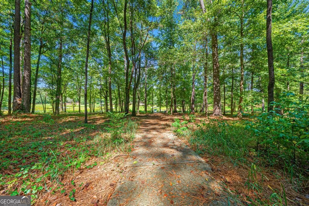 241 Grizzly Bear Lane Hartwell - Photo 42
