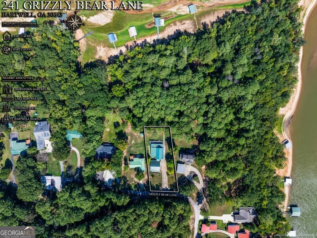 241 Grizzly Bear Lane Hartwell - Photo 46