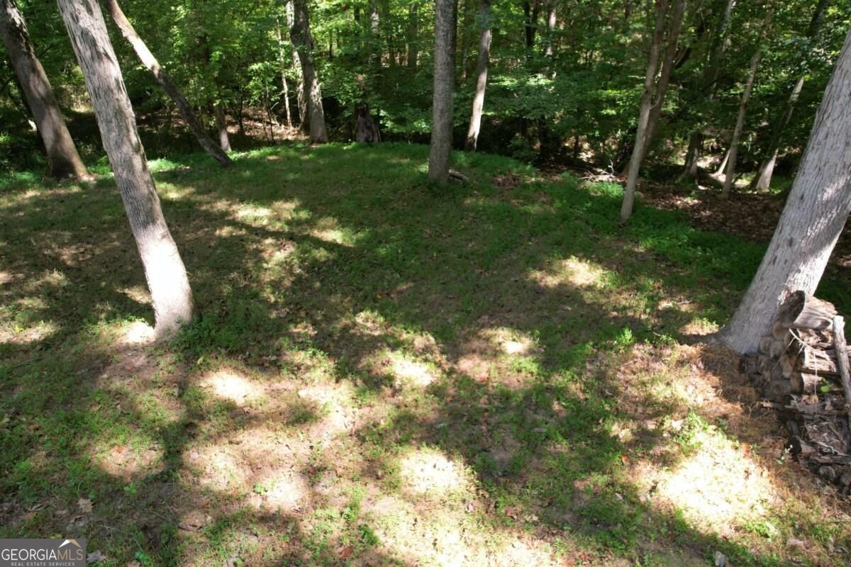 5960 Bridle Drive Cumming - Photo 27