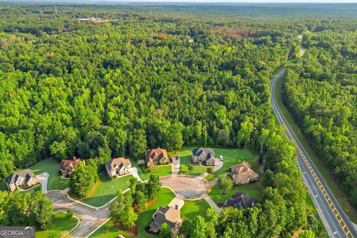 7271 Bluewater Douglasville - Photo 53