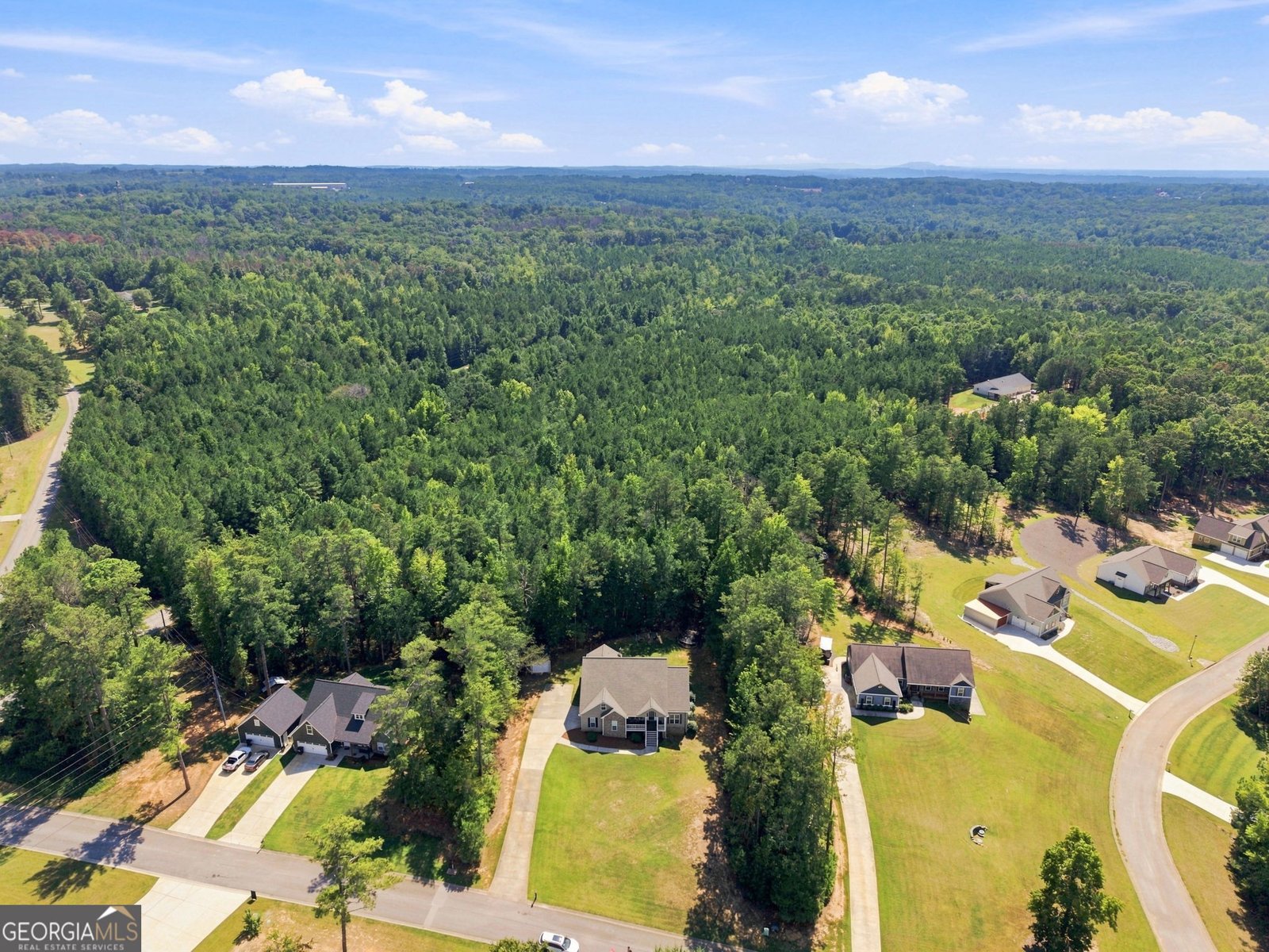 30 Willow Leaf Drive Buchanan - Photo 45