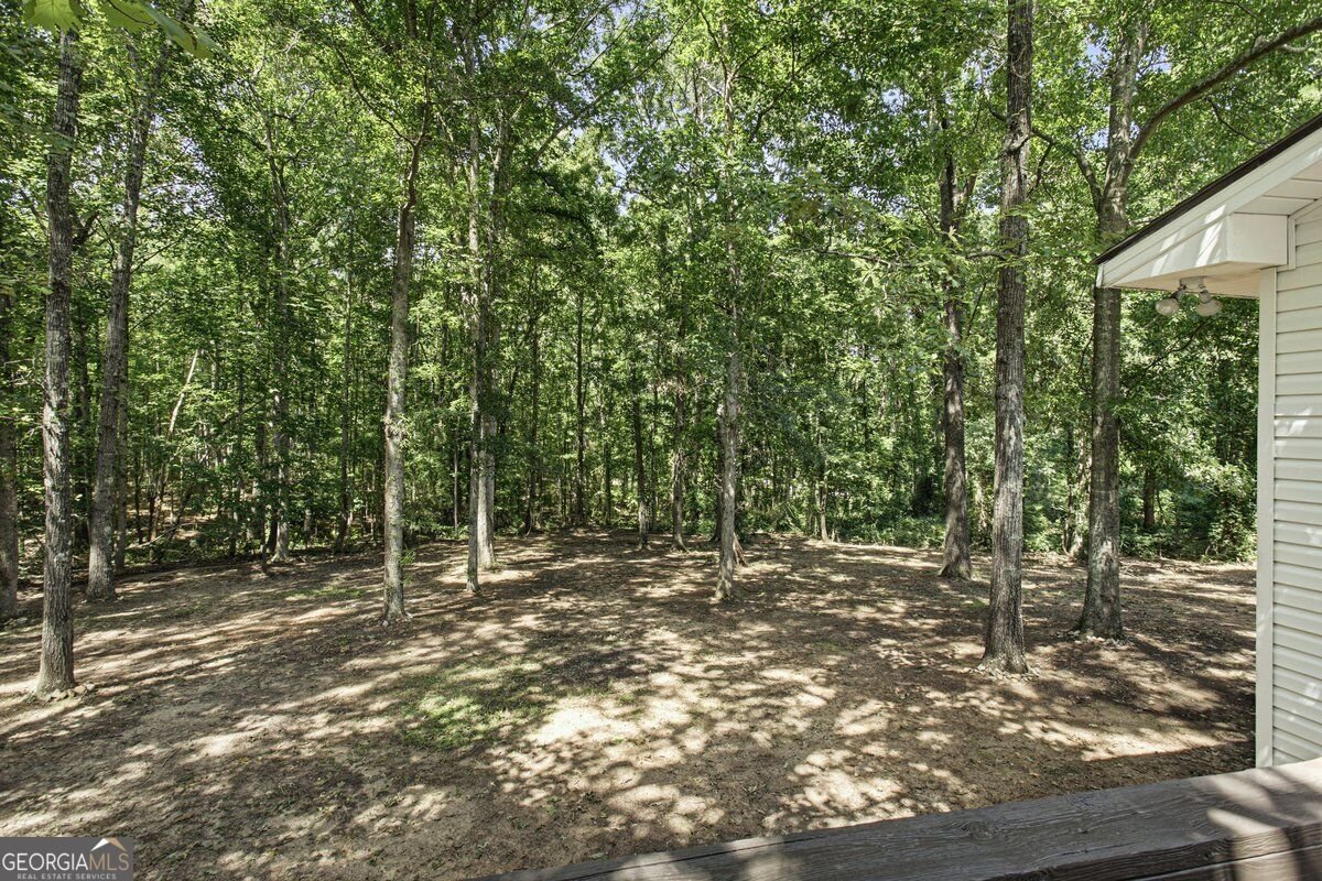 1180 Kay Terrace Conyers - Photo 29
