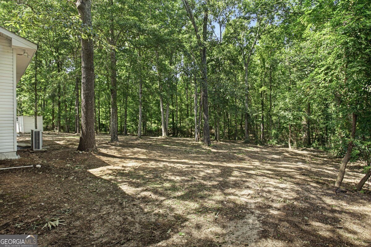 1180 Kay Terrace Conyers - Photo 30