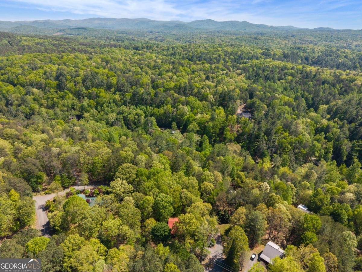 80 Stegall Mill Ridge Ellijay - Photo 45