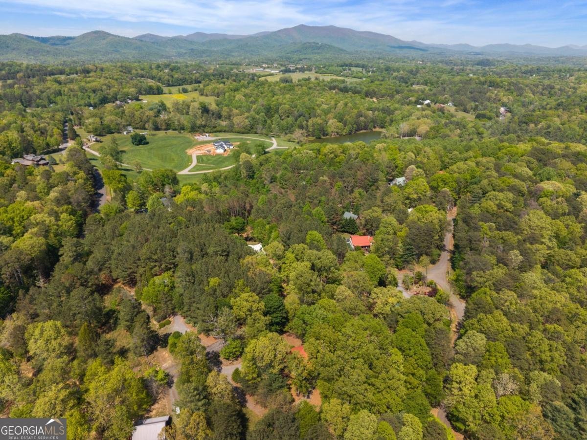 80 Stegall Mill Ridge Ellijay - Photo 47