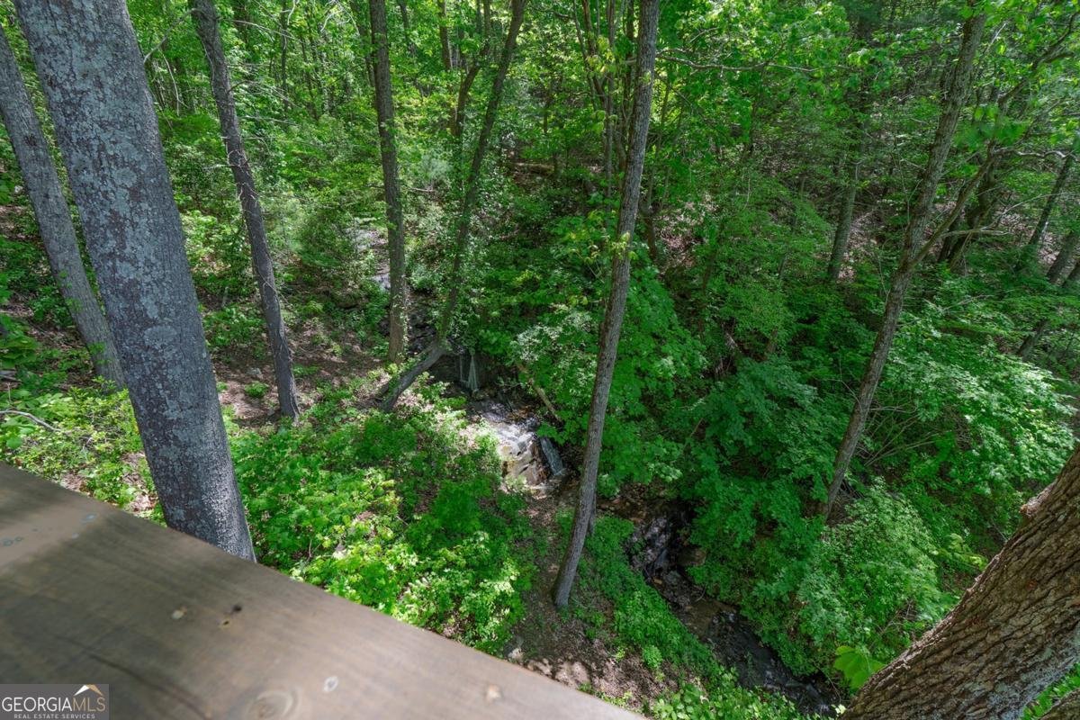 1049 Rockwater Road Ellijay - Photo 30