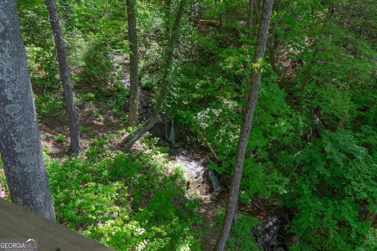 1049 Rockwater Road Ellijay - Photo 31