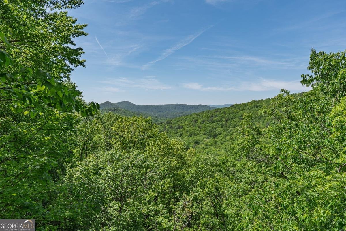 1049 Rockwater Road Ellijay - Photo 33