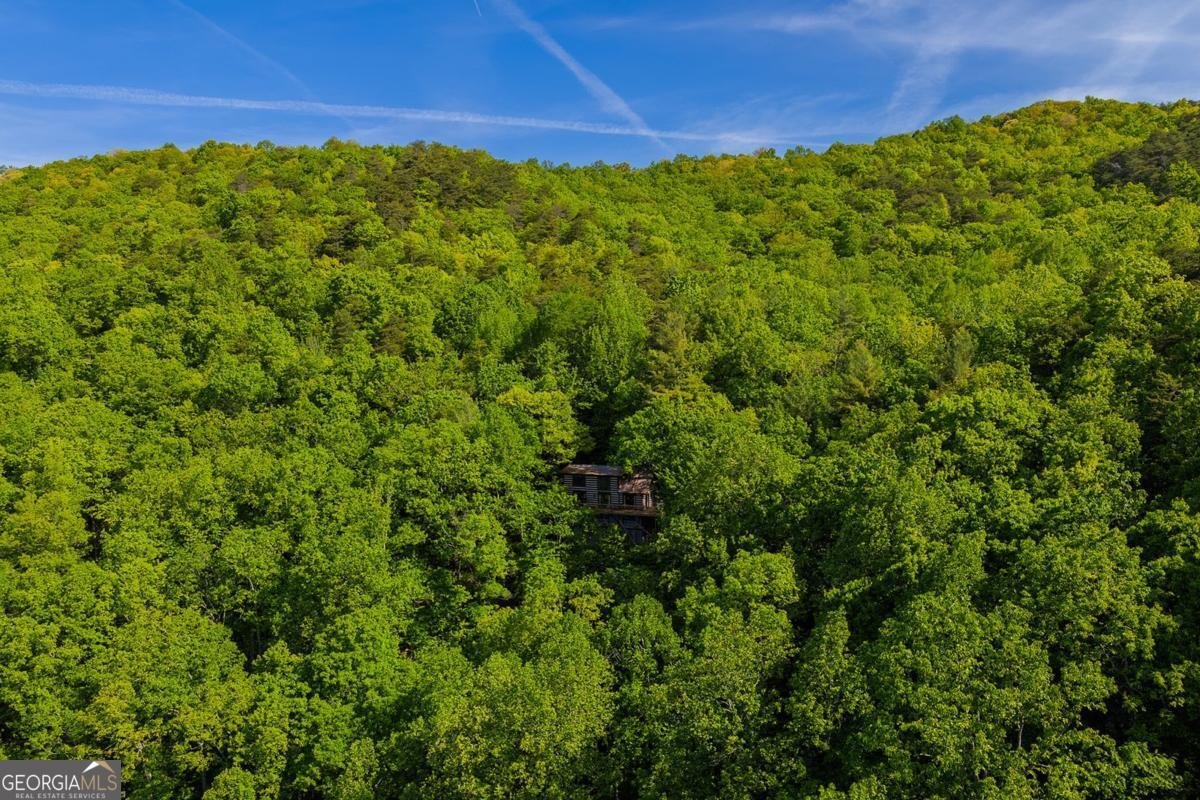 1049 Rockwater Road Ellijay - Photo 40