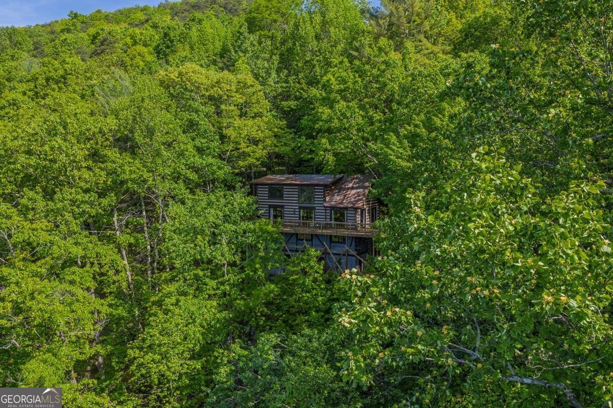 1049 Rockwater Road Ellijay - Photo 41