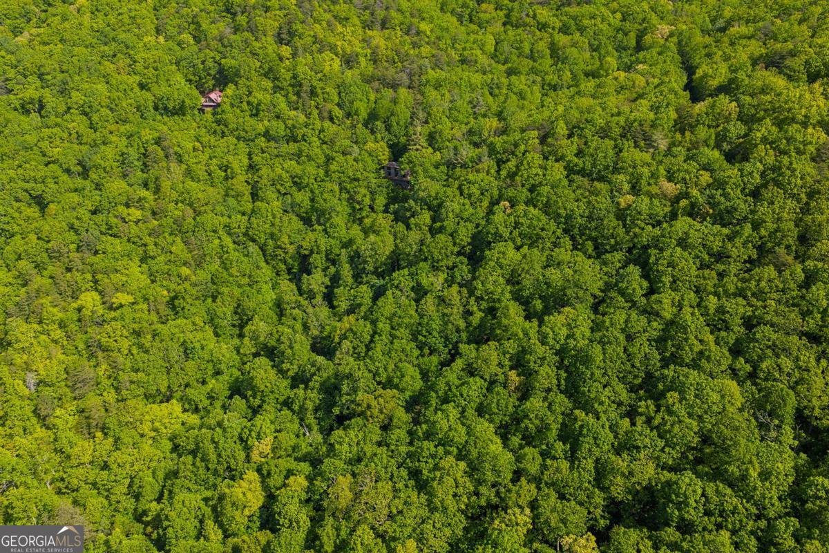1049 Rockwater Road Ellijay - Photo 44