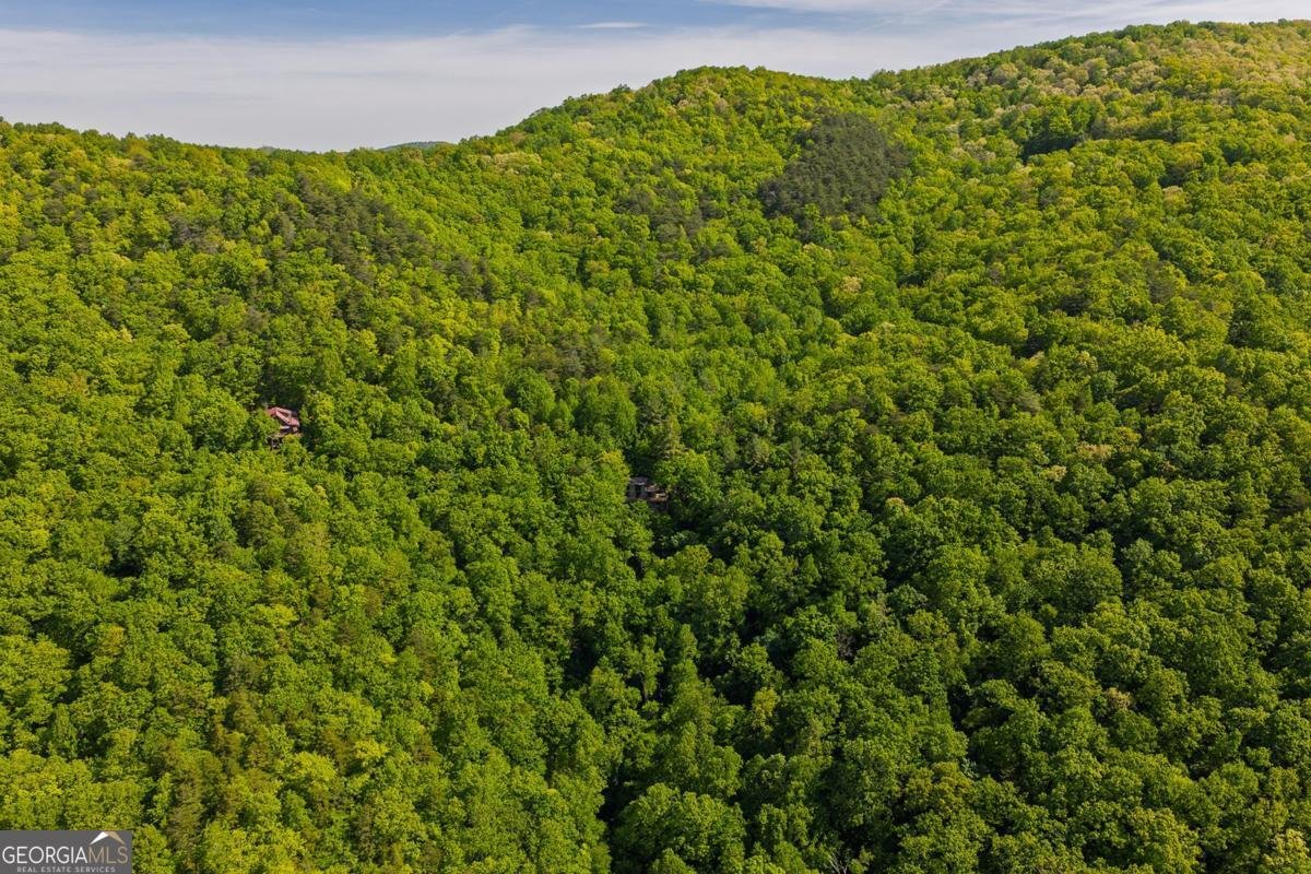 1049 Rockwater Road Ellijay - Photo 46