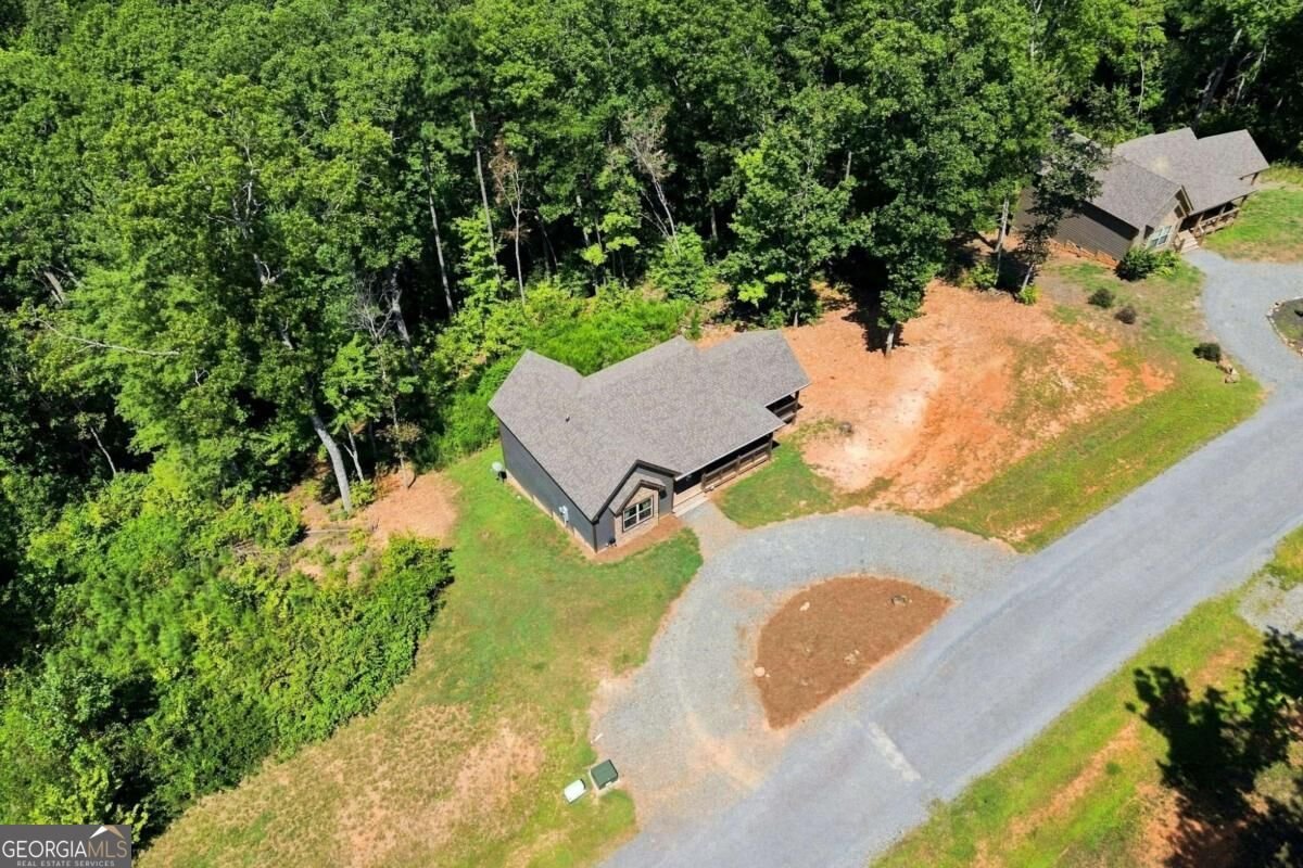 450 Jakes Landing Way Ellijay - Photo 25