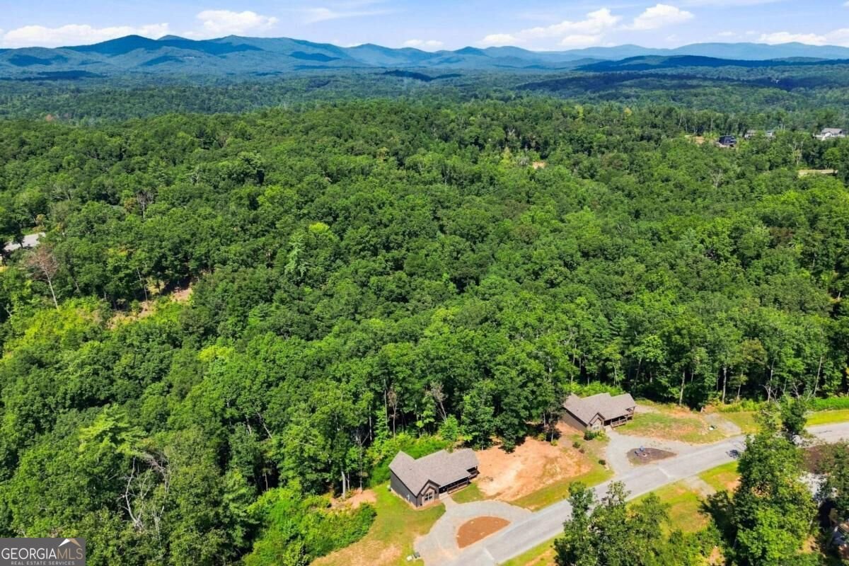 450 Jakes Landing Way Ellijay - Photo 26