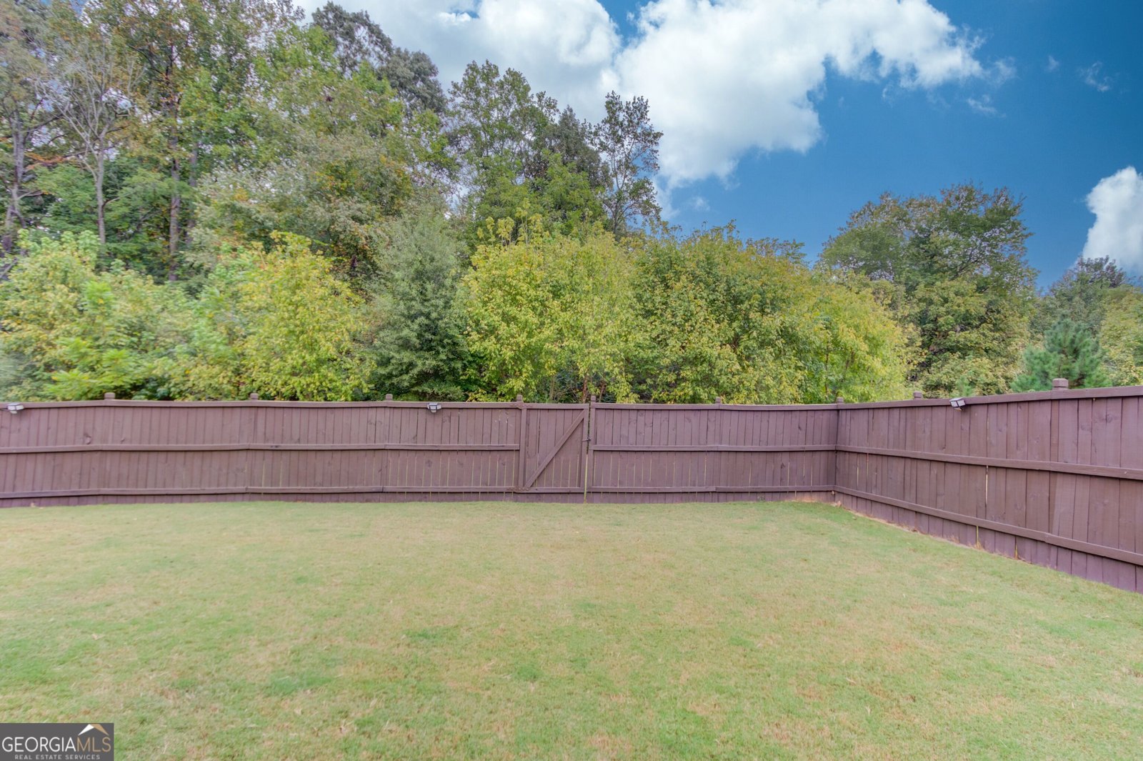 2445 Crimson Downs Drive Cumming - Photo 68