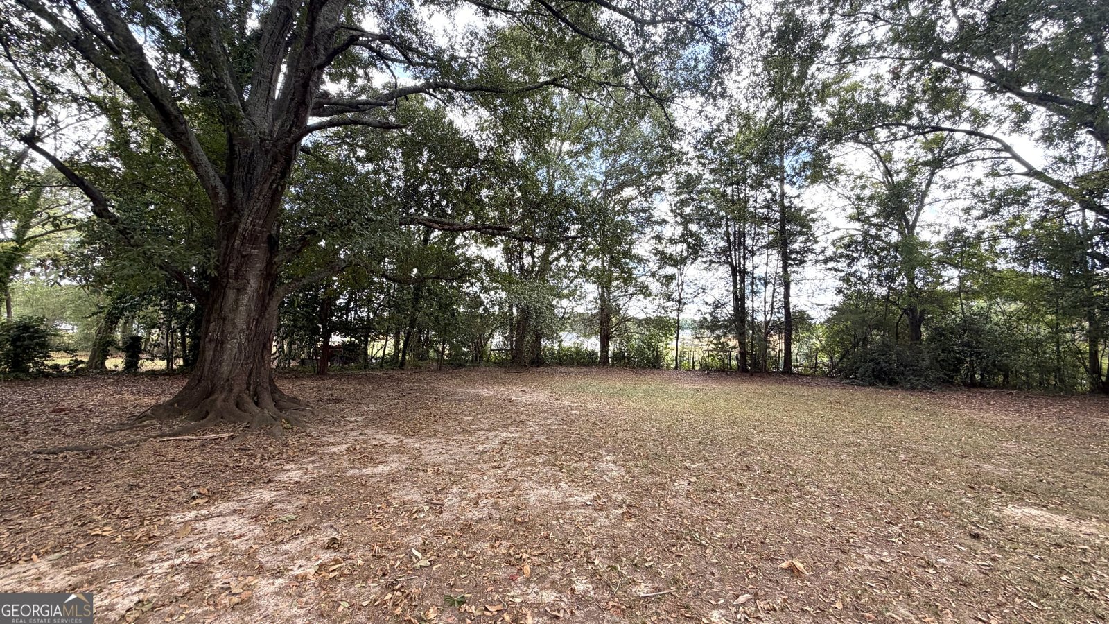 386 Chestnut Drive Social Circle - Photo 23