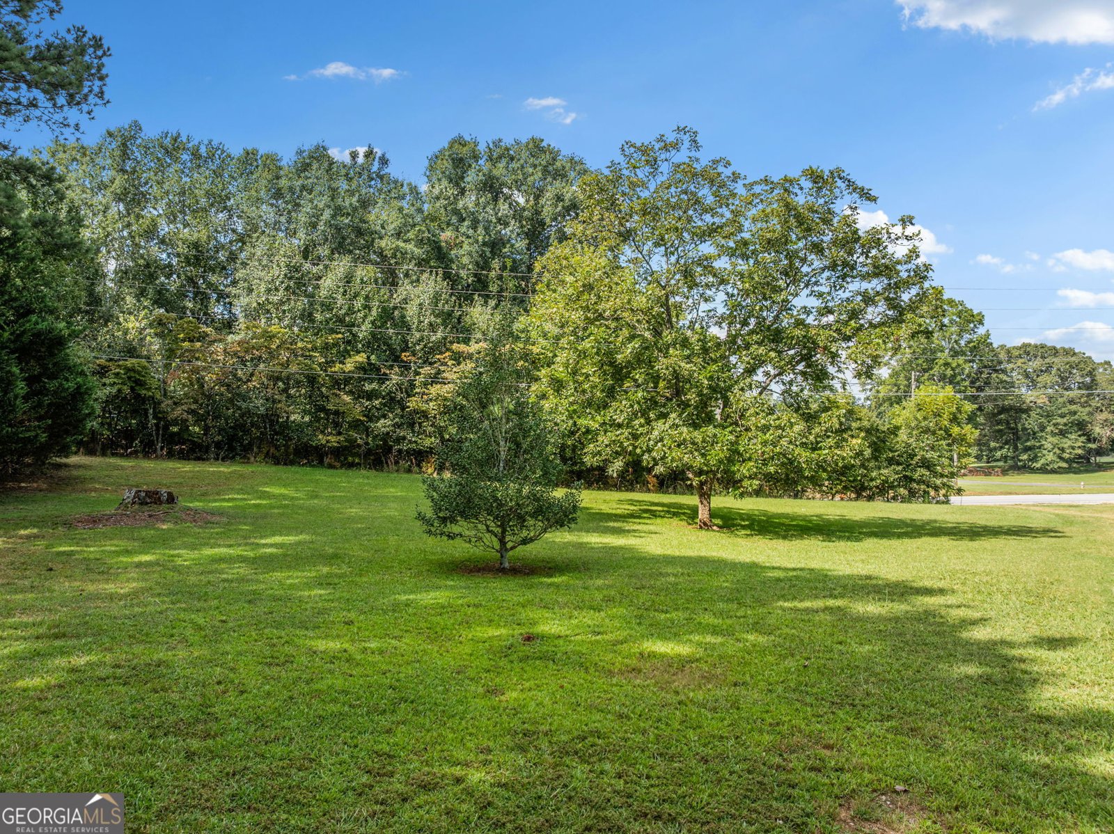 522 Duncan Bridge Road Alto - Photo 41