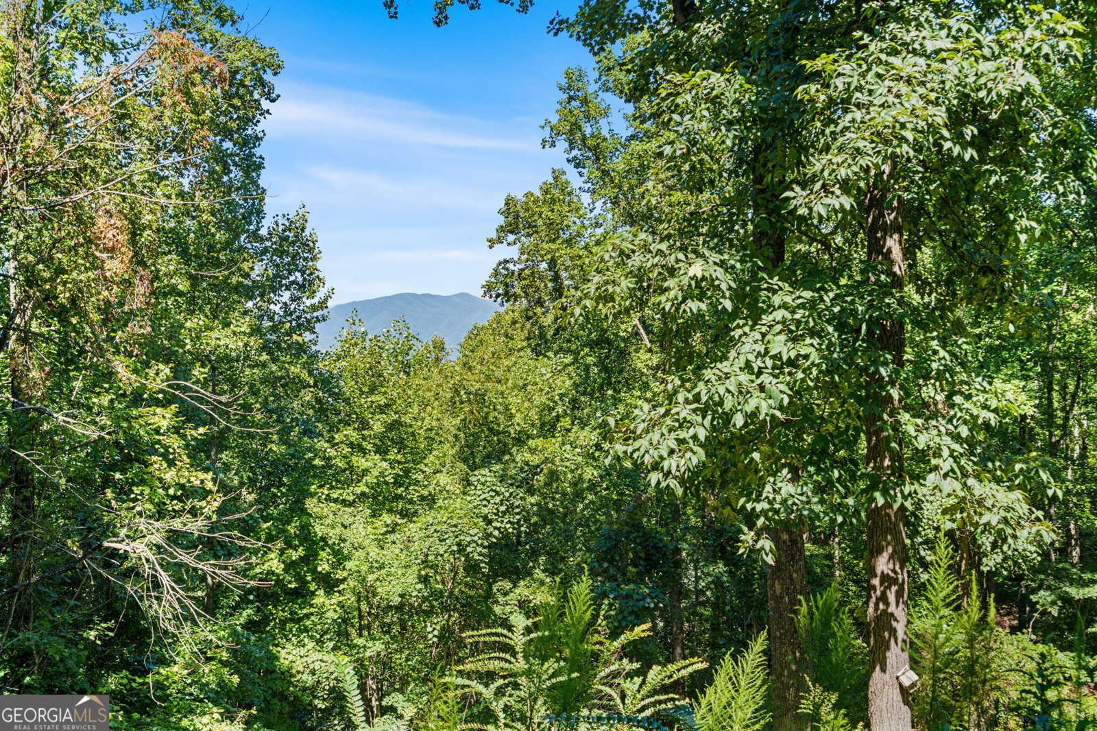228 Longview Drive Hayesville - Photo 27