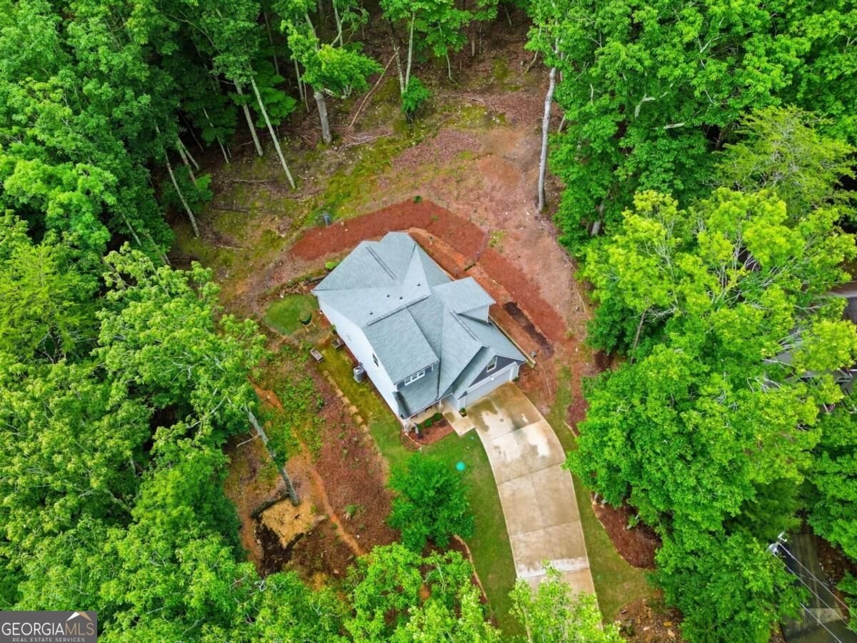 138 Louie Court Waleska - Photo 30