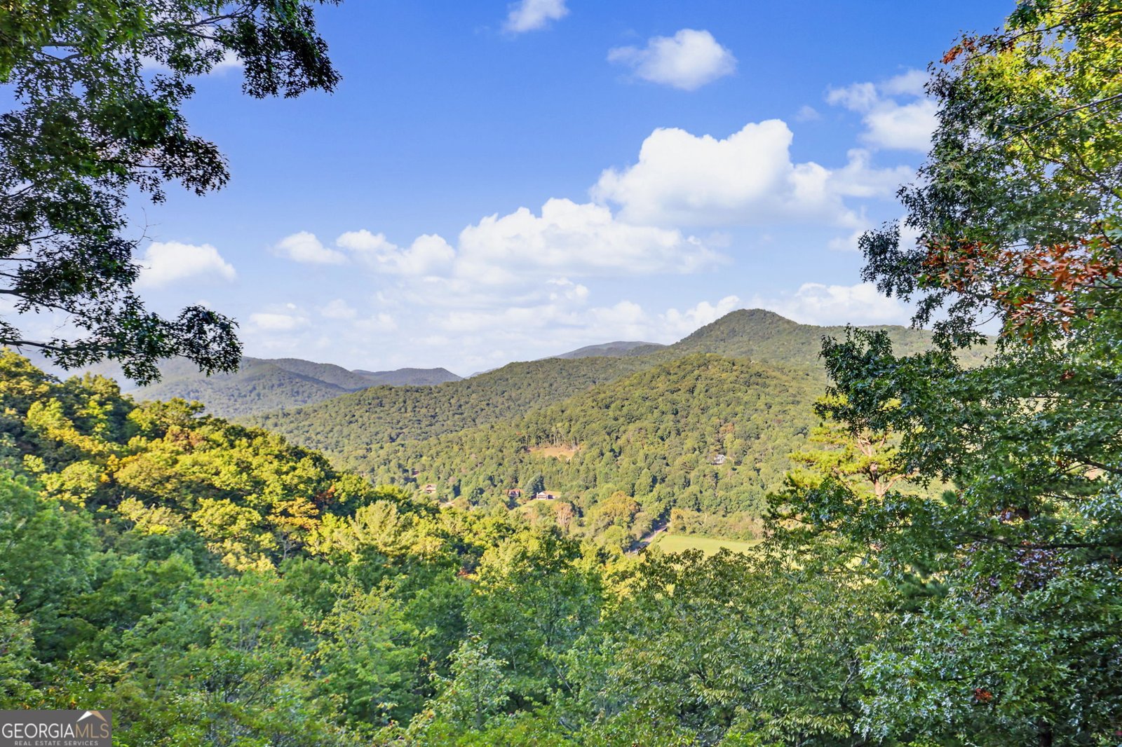 4169 Ridgecrest Trail Hiawassee - Photo 12