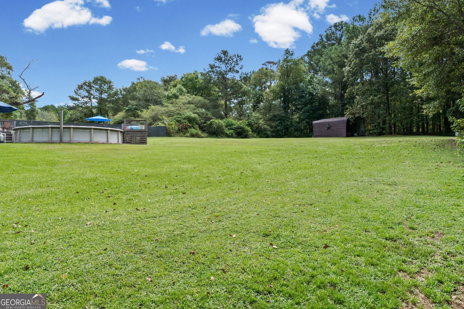 207 Dr Elliott Road Newnan - Photo 39