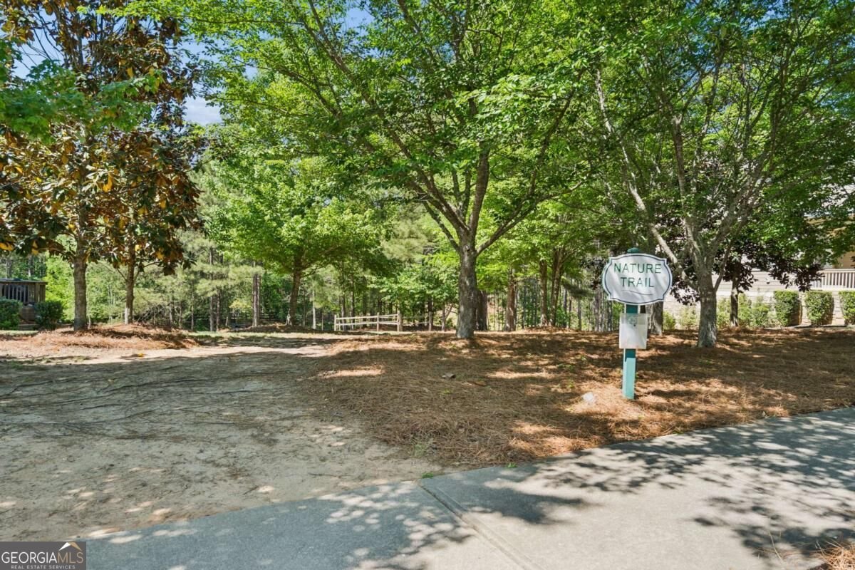 3220 Wheldon Way Douglasville - Photo 55