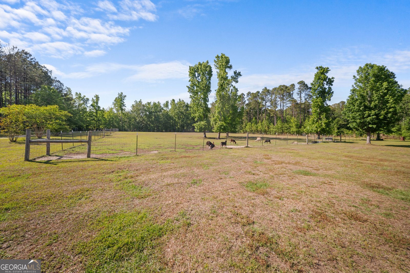 452 Joe Oglesby Road Portal - Photo 56
