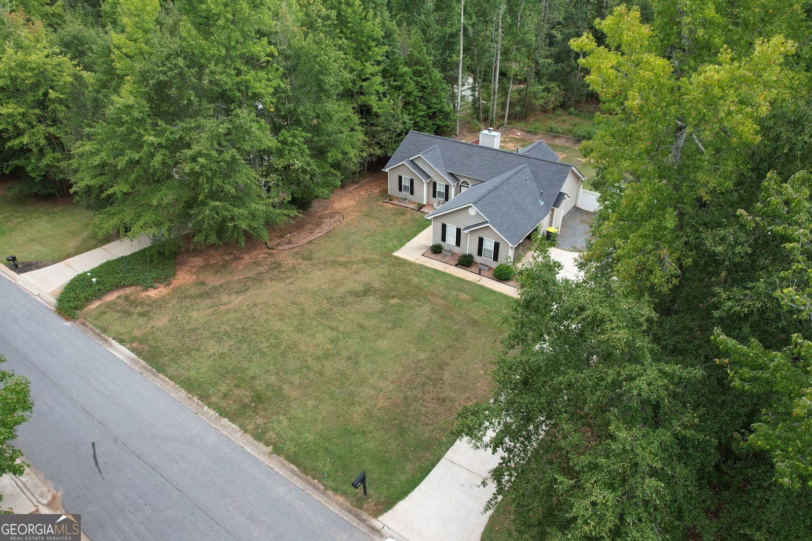 295 Hayward Bishop Way Senoia - Photo 47