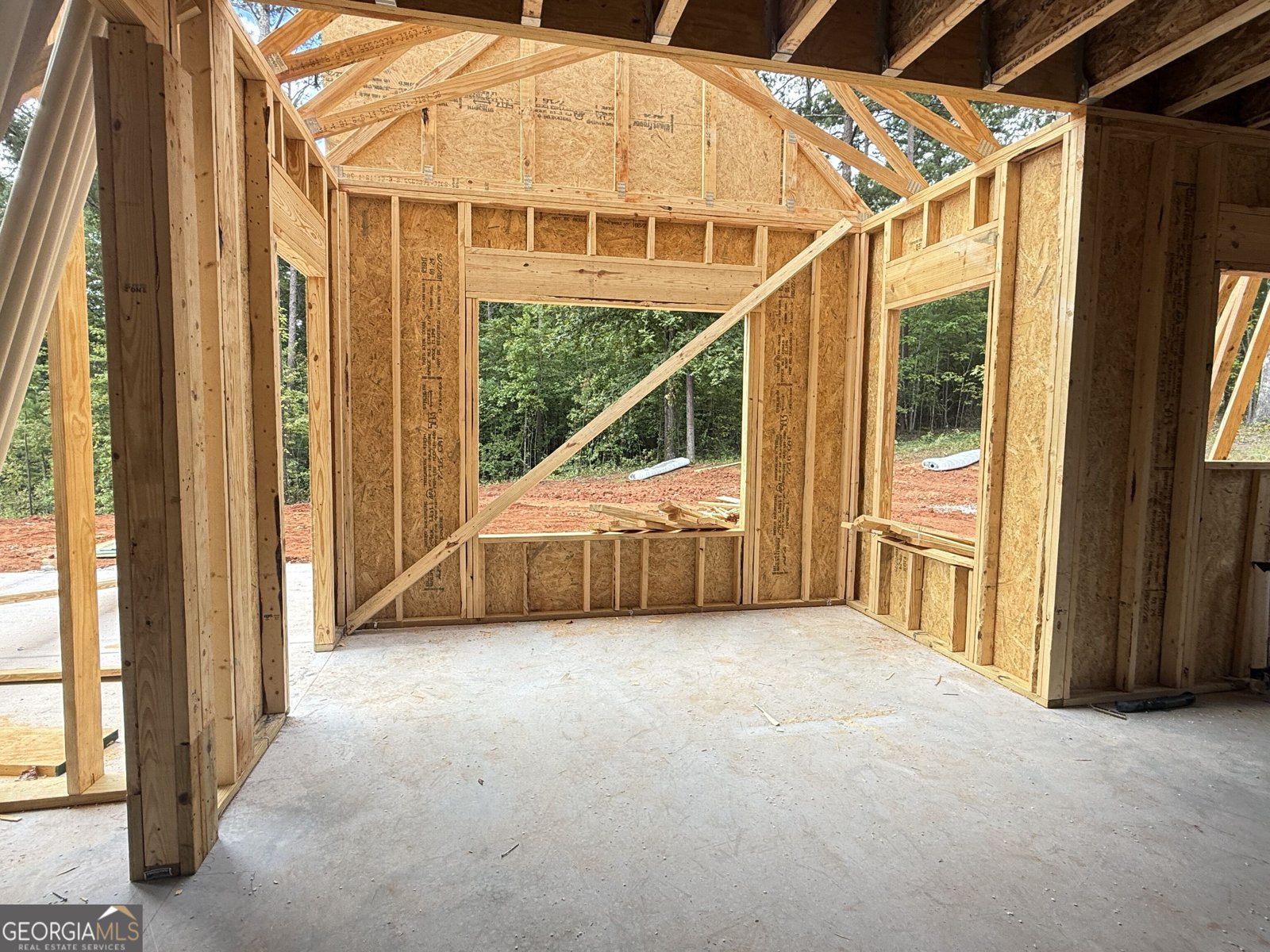 LOT 46 Lake Point Drive Williamson - Photo 10