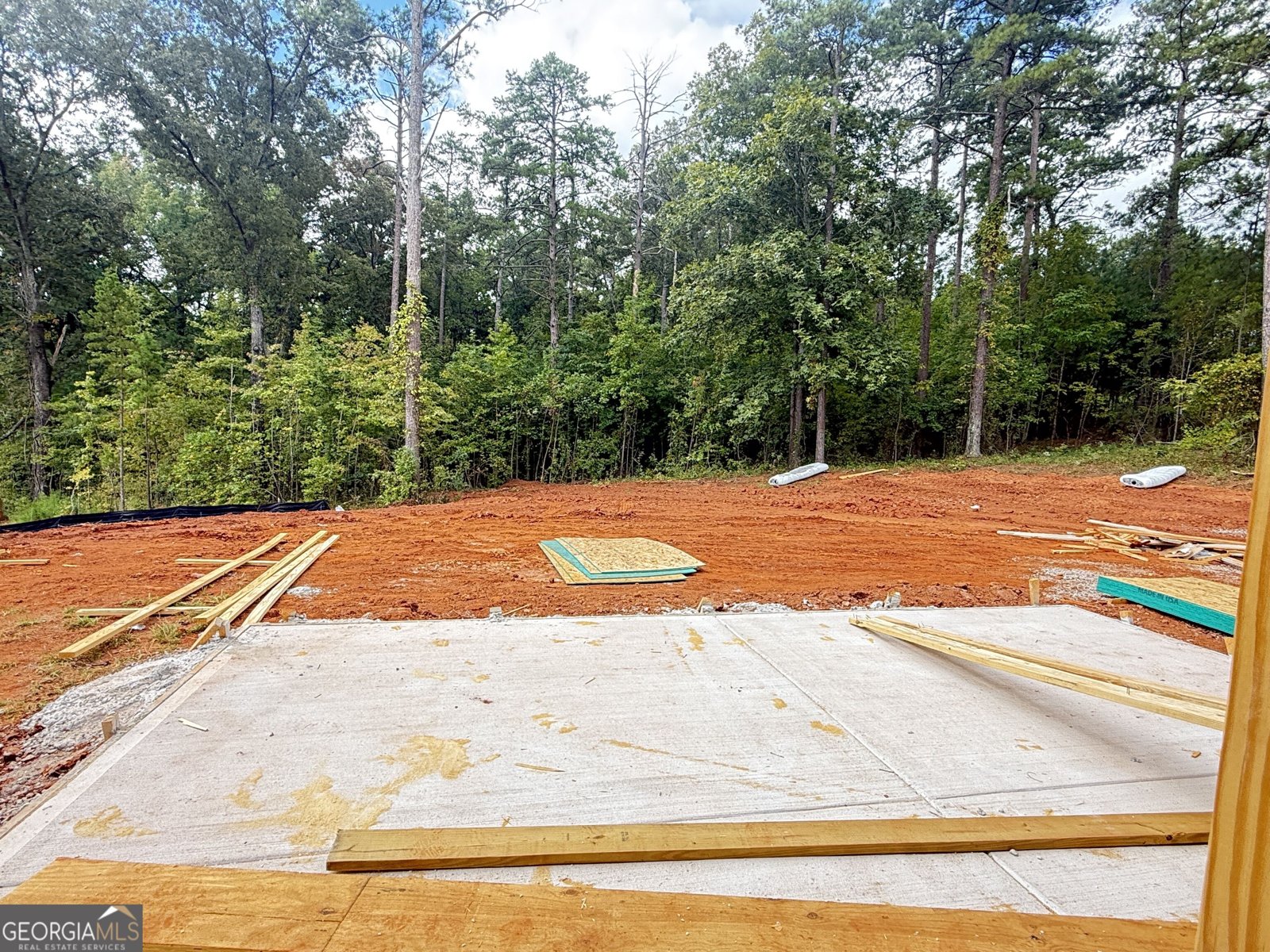 LOT 46 Lake Point Drive Williamson - Photo 14