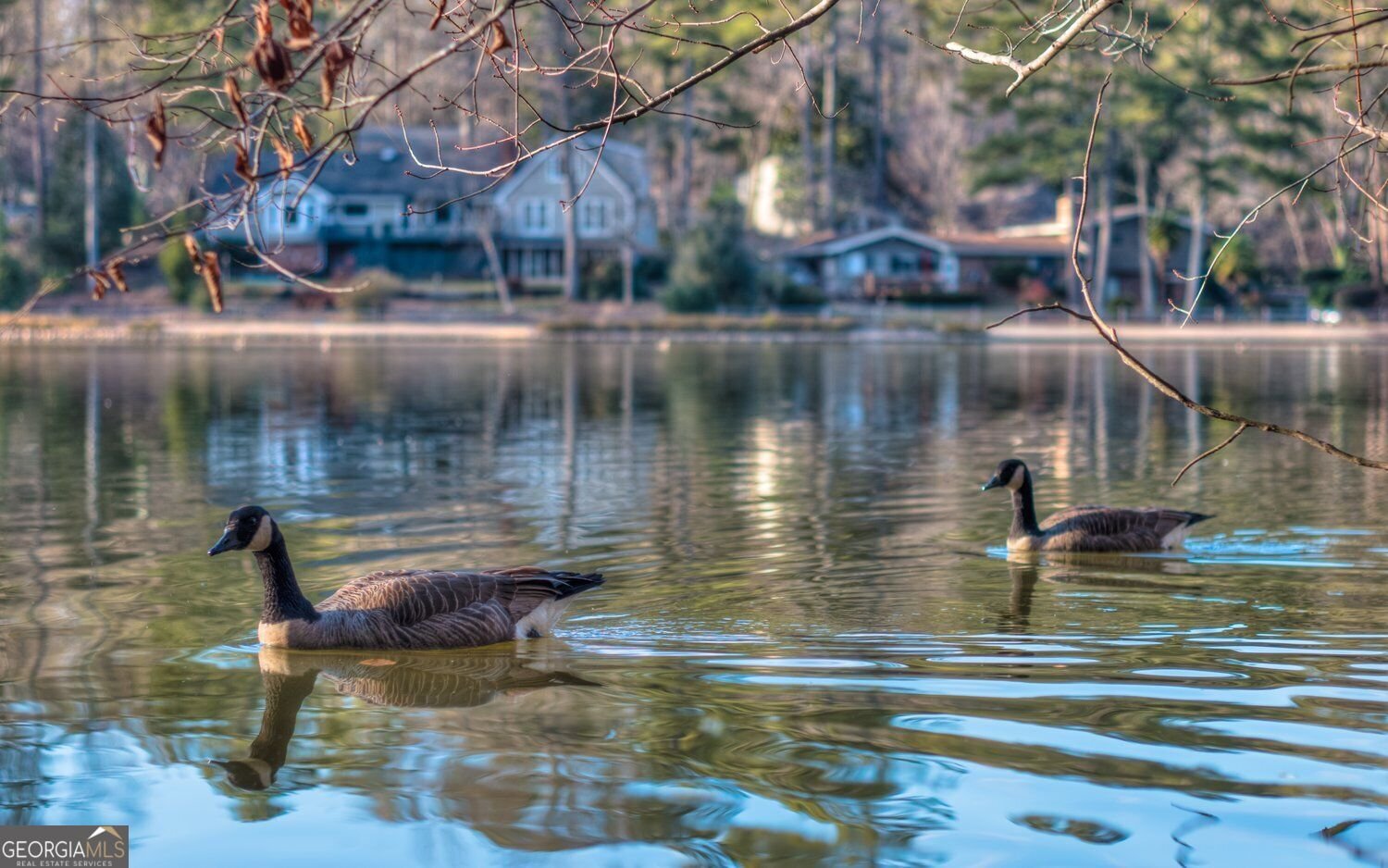 271 Quail Run Roswell - Photo 8