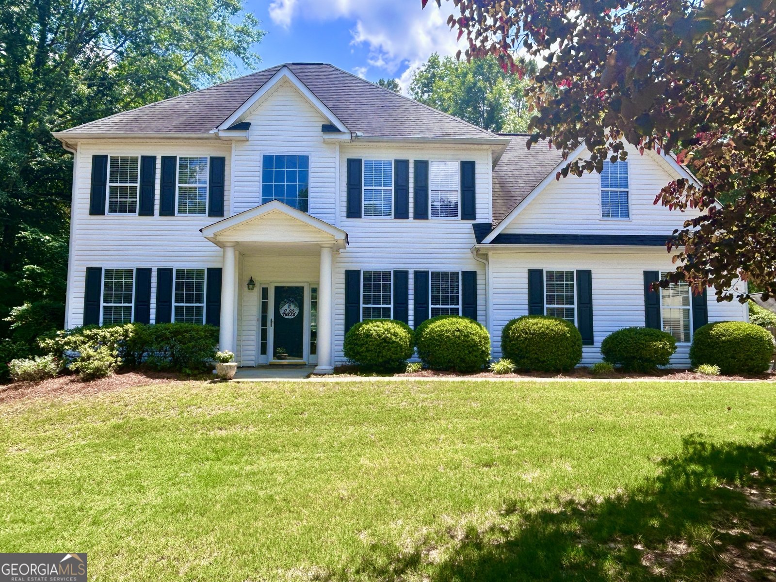 115 Leesburg Plantation Drive Sharpsburg - main photo