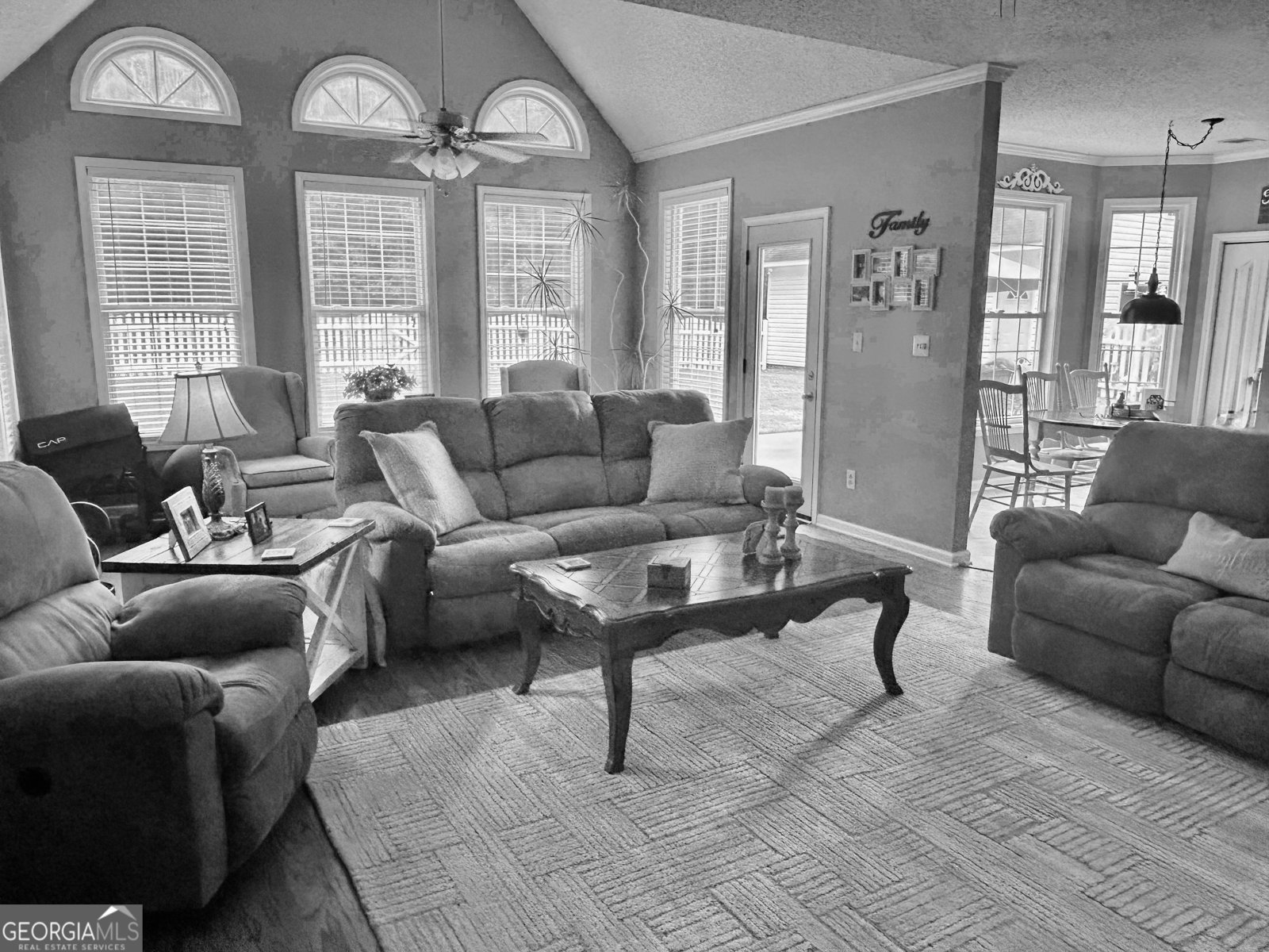 115 Leesburg Plantation Drive Sharpsburg - Photo 11