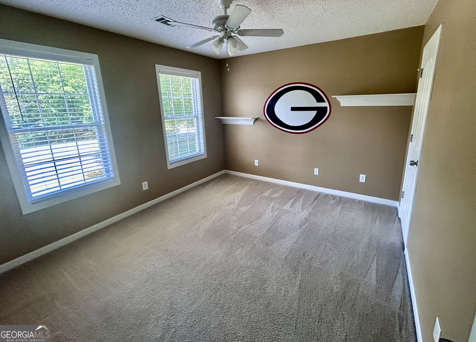 115 Leesburg Plantation Drive Sharpsburg - Photo 22