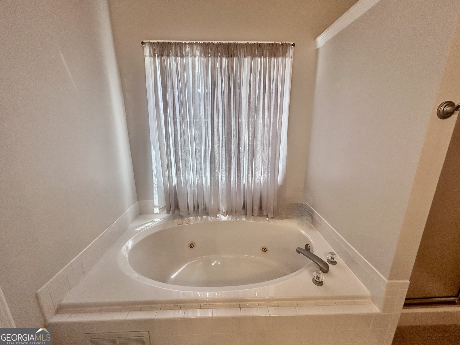 115 Leesburg Plantation Drive Sharpsburg - Photo 26