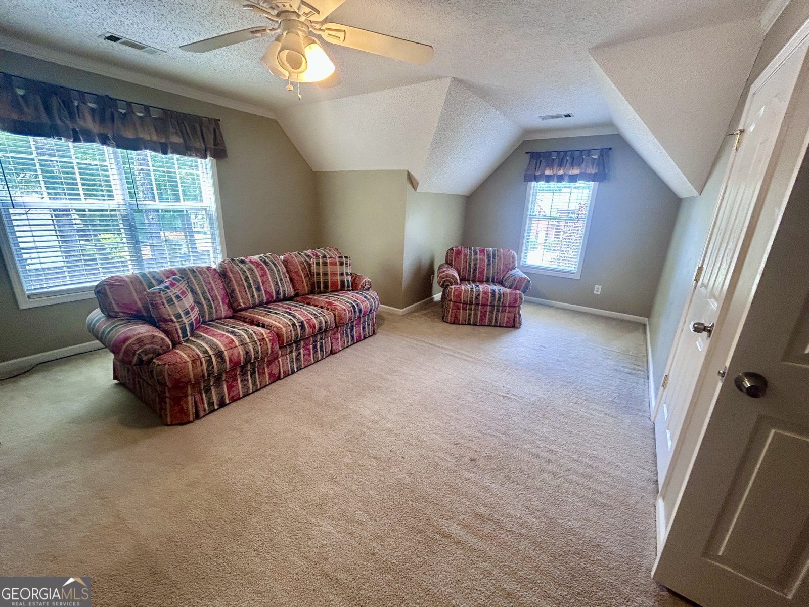 115 Leesburg Plantation Drive Sharpsburg - Photo 29