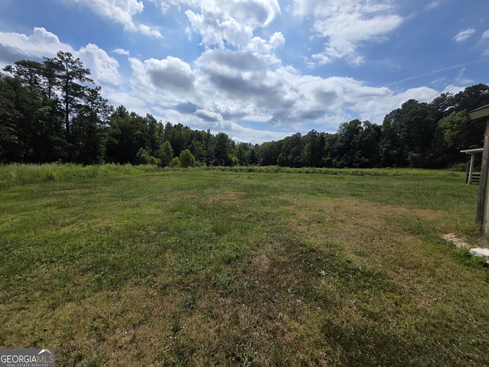 177 Bidne Drive Senoia - Photo 53