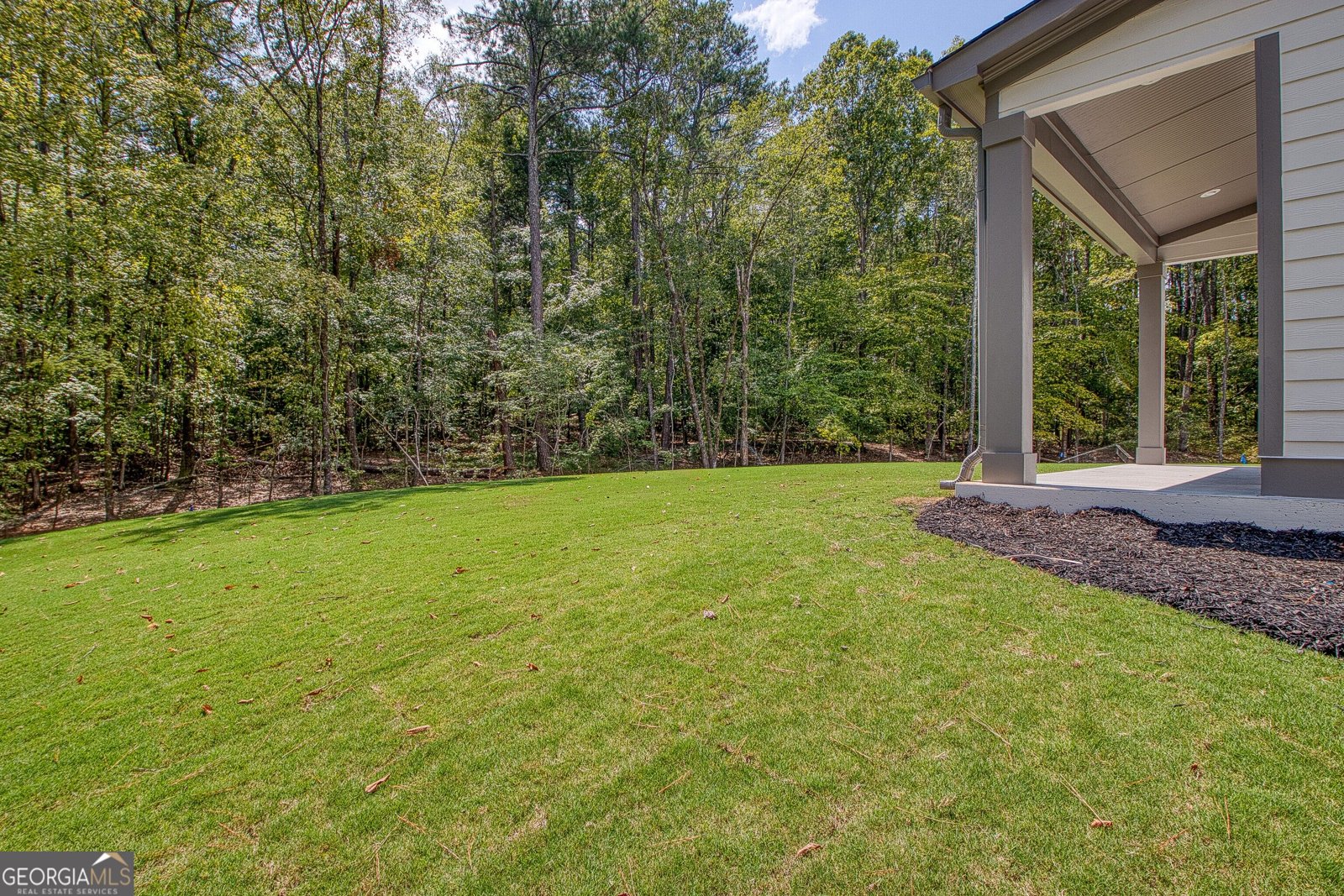 614 Morgan Mill Rd Senoia - Photo 56