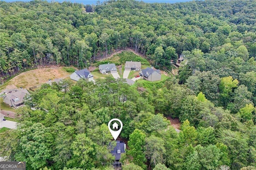 211 Hillside Drive Waleska - Photo 68
