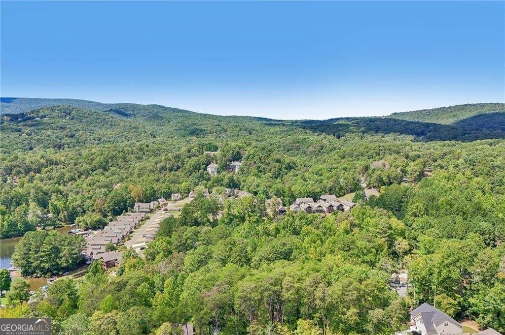 211 Hillside Drive Waleska - Photo 70