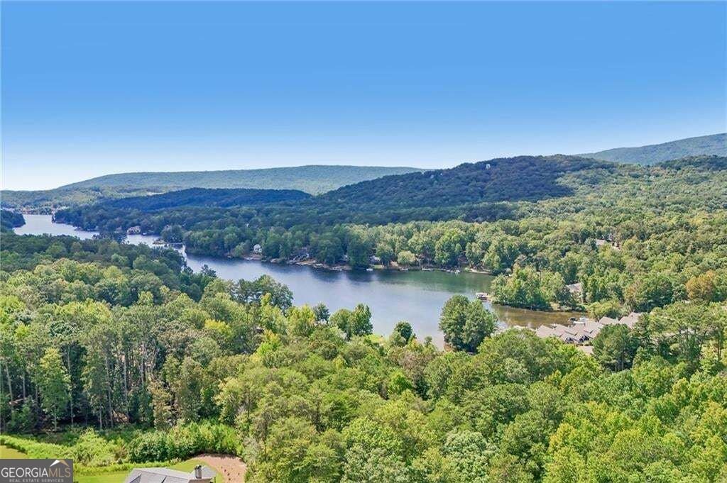 211 Hillside Drive Waleska - Photo 71