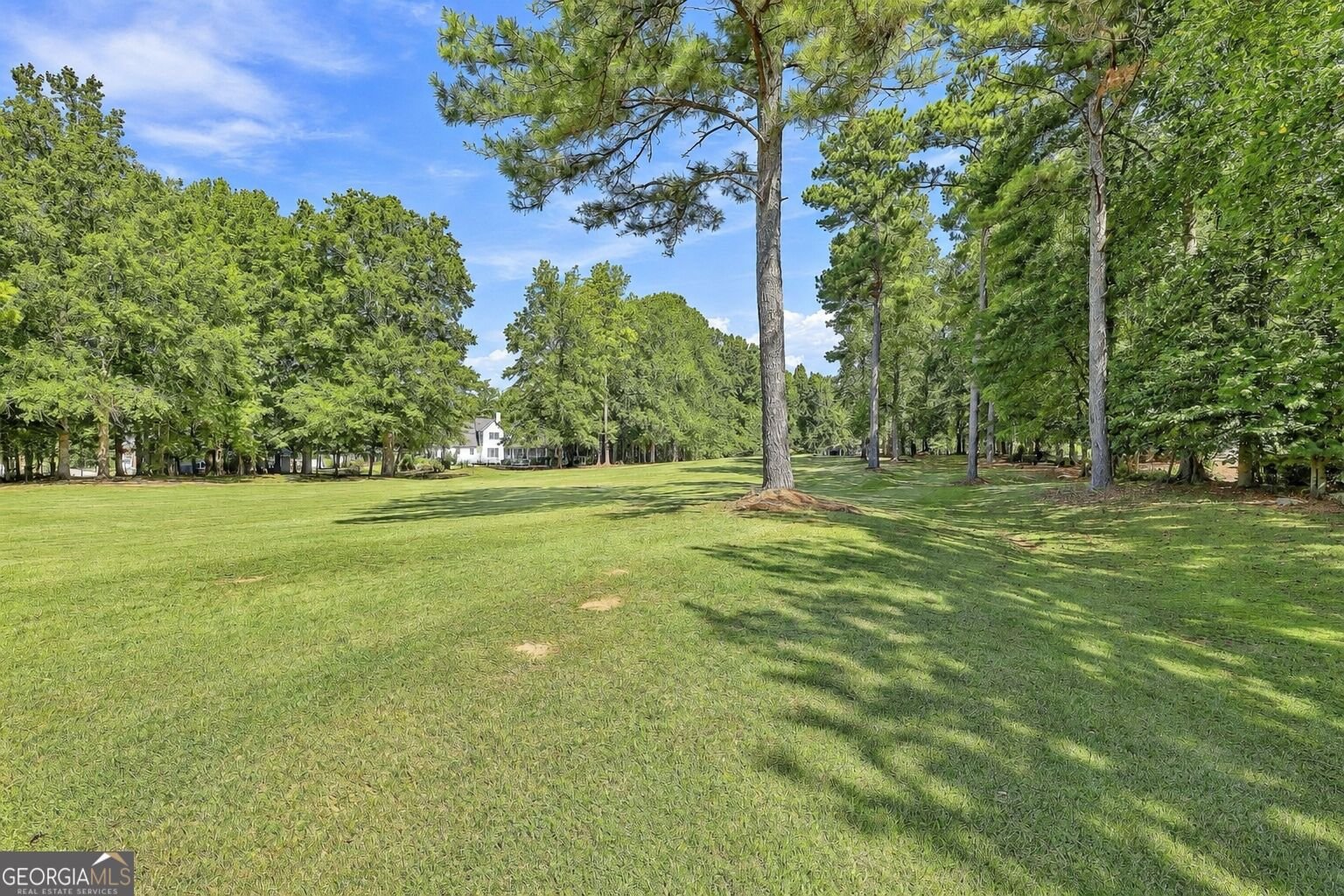67 Redlevel Walk Newnan - Photo 59