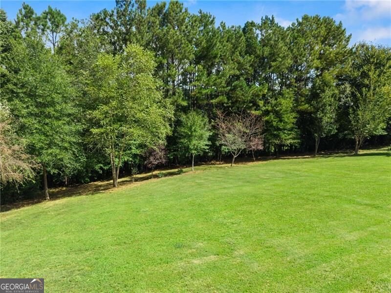 8865 Saddle Trail Ball Ground - Photo 89